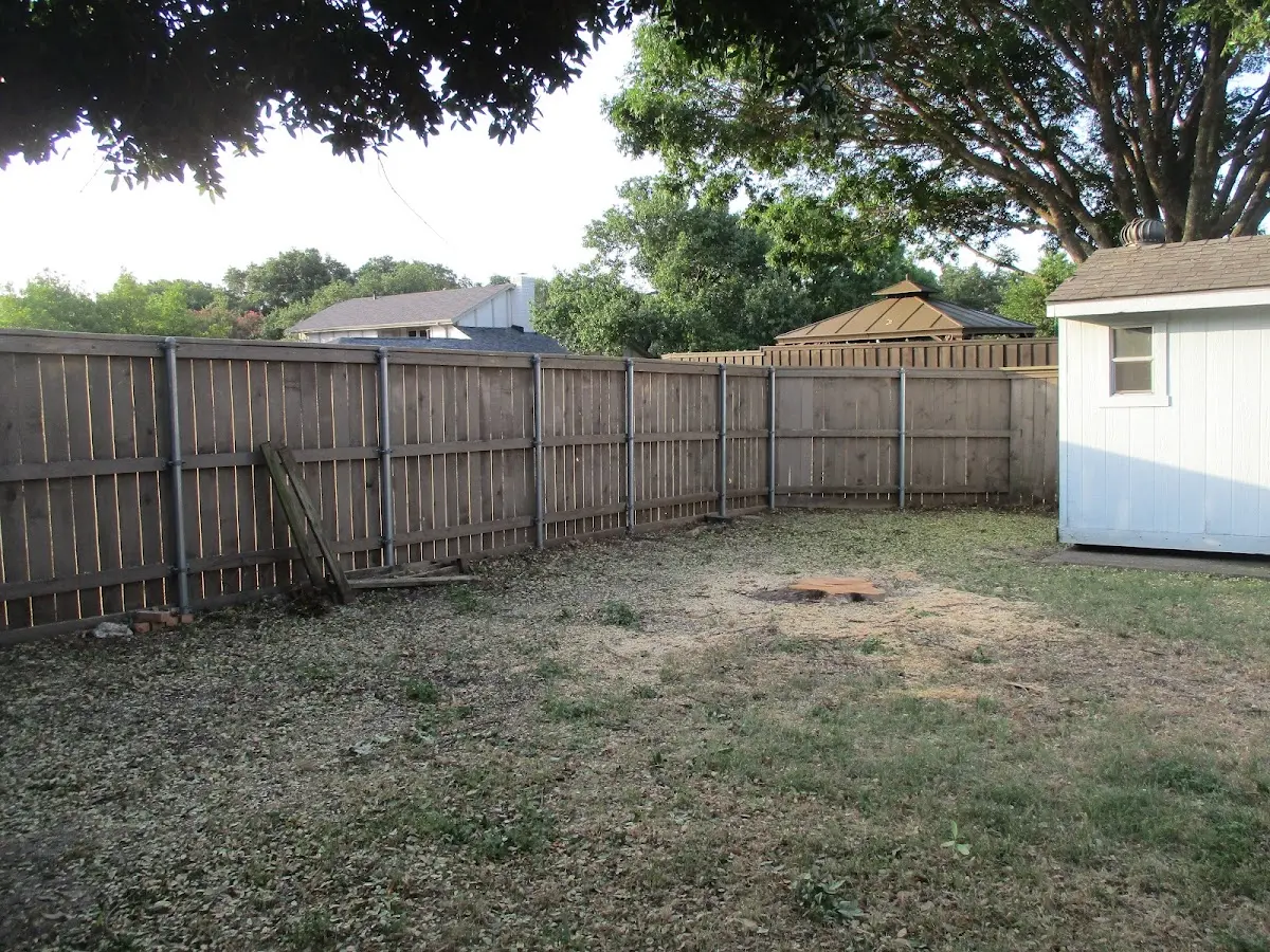 Cleared yard after professional tree removal in Enning